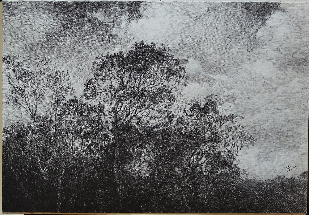 钢笔画-风景和动物