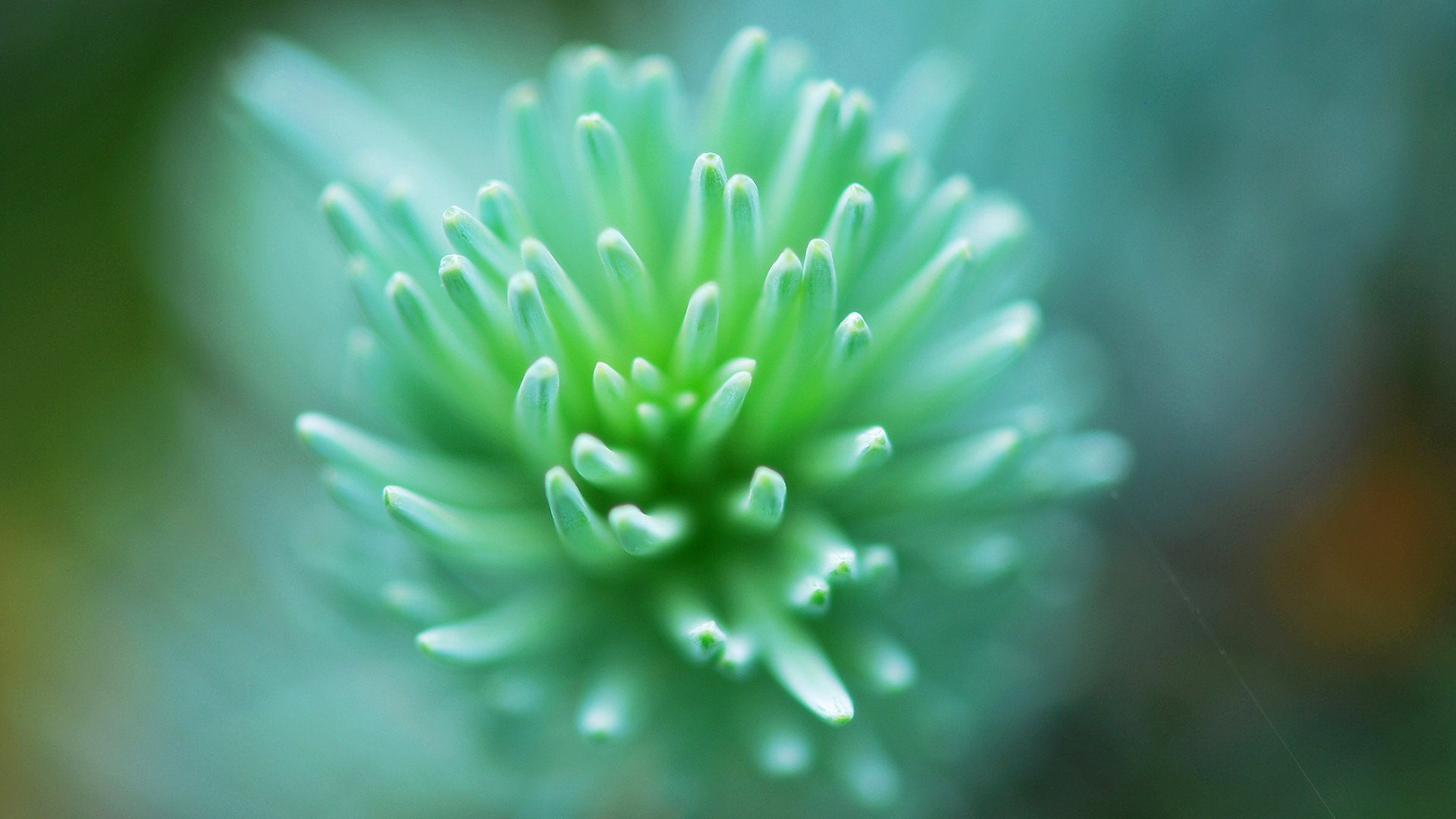 572919787的个人主页（封面预览） - 主页封面设置 - 站酷设计师572919787原创素材 - 站酷ZCOOL