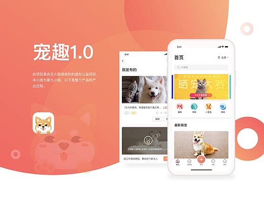 宠物领养项目总结九