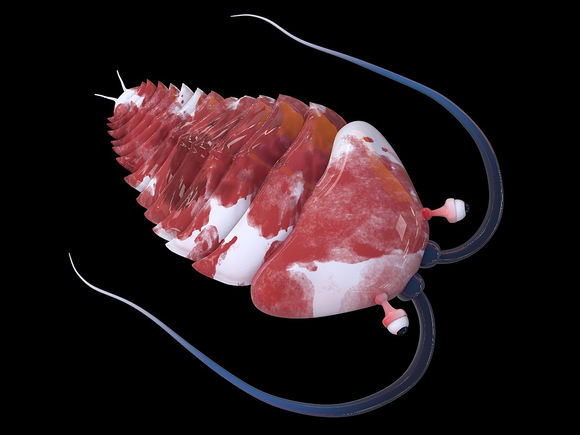 C4D古生物化石 云南虫