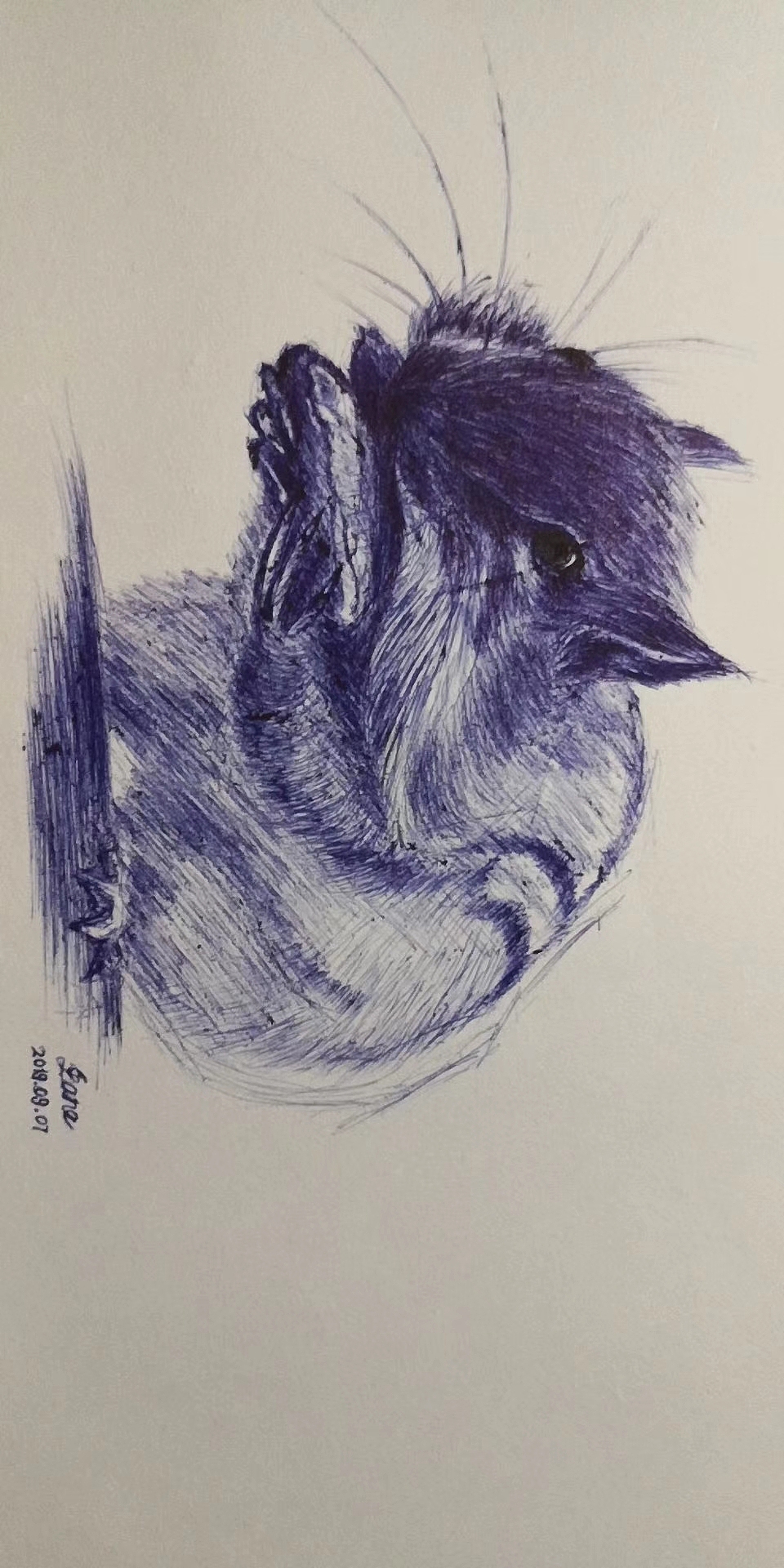 闲暇涂鸦（图ZMTg3NjU4ODQ4） - 其他 - 站酷设计师LaneK原创素材 - 站酷ZCOOL