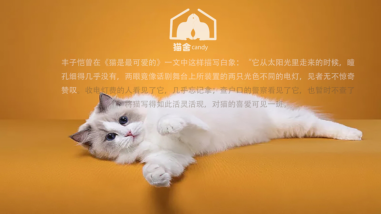 猫舍CAndy/logo设计