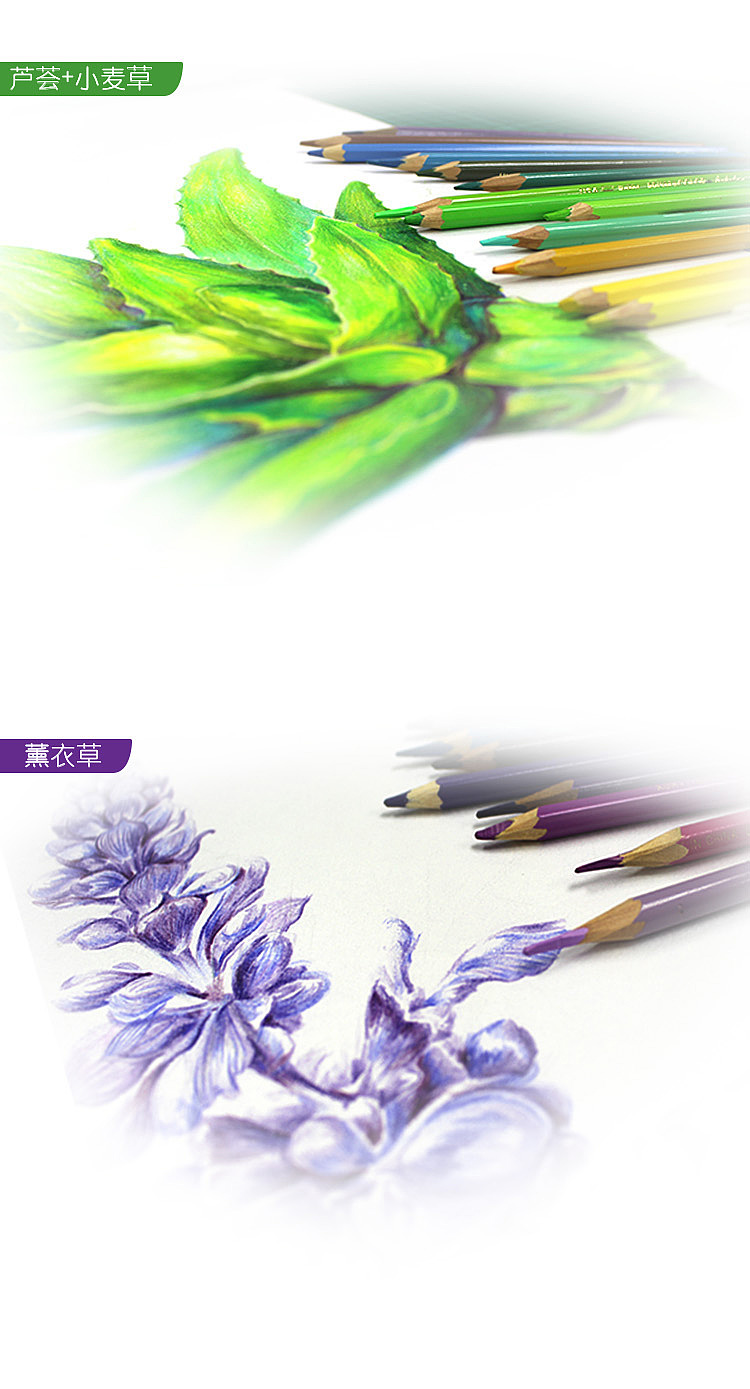 薇萃（图ZMzQxMDcwMzY=） - 包装 - 站酷设计师红漆工原创素材 - 站酷ZCOOL