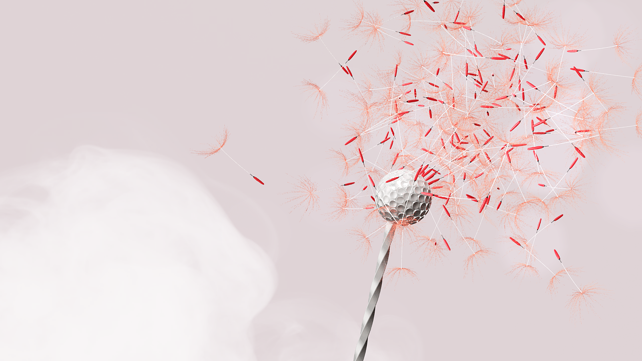 万有影力——学员毕业作品图片集