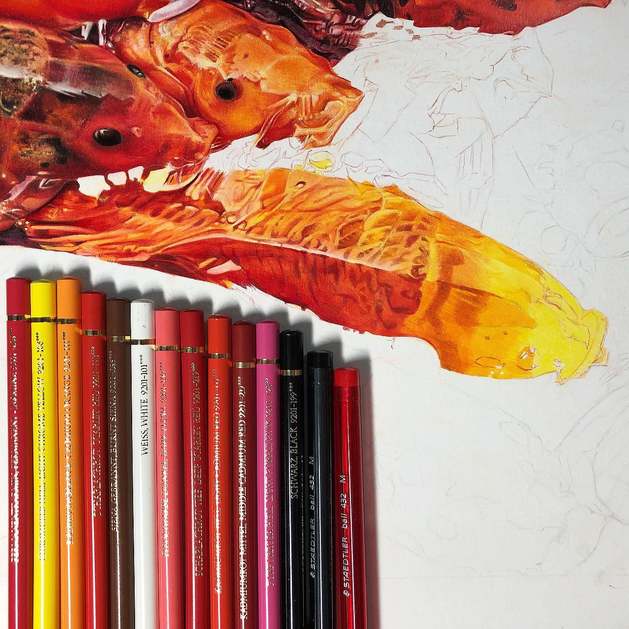 彩铅作品《彩鲤》（图ZMTMwMzA3NTg0） - 创作习作 - 站酷设计师傅海嘉原创素材 - 站酷ZCOOL