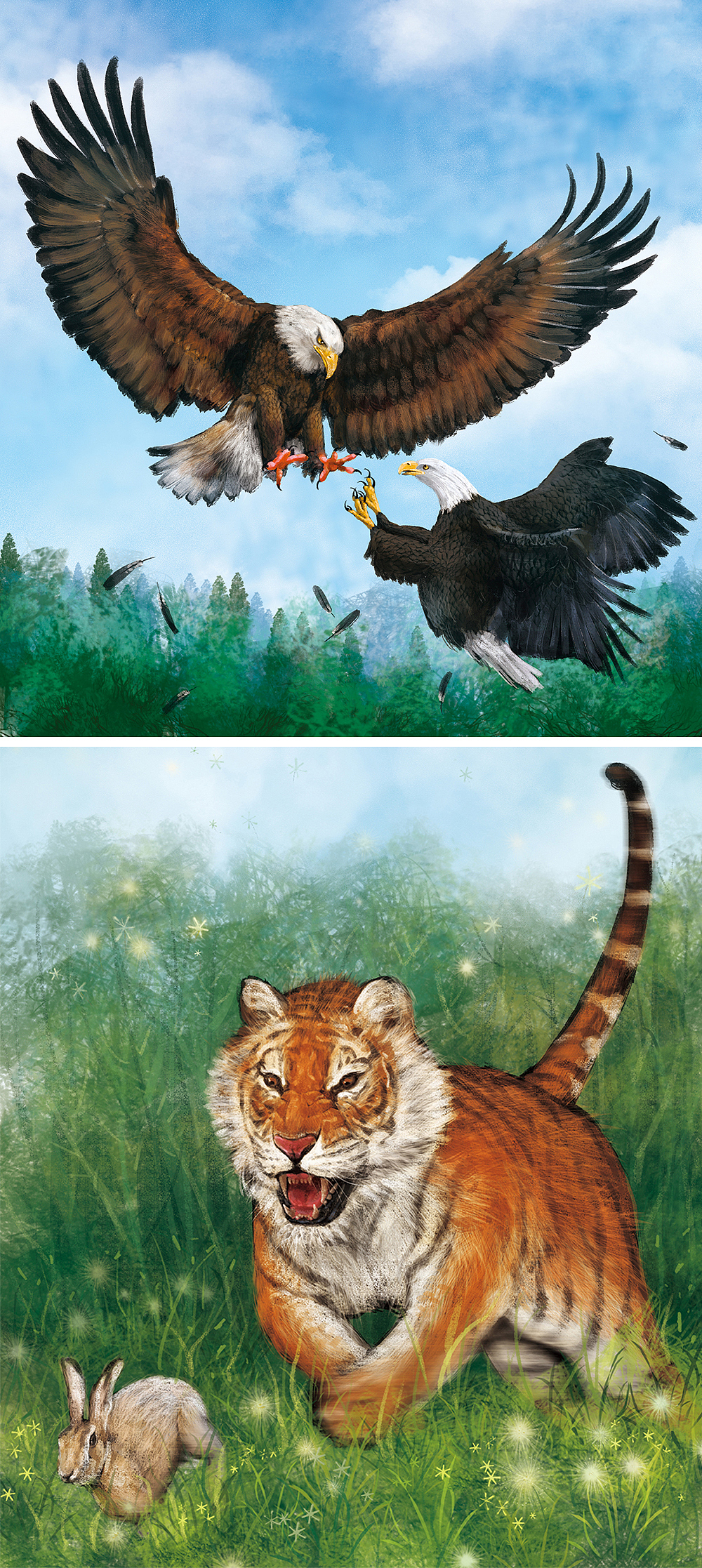 各种野生动物插画