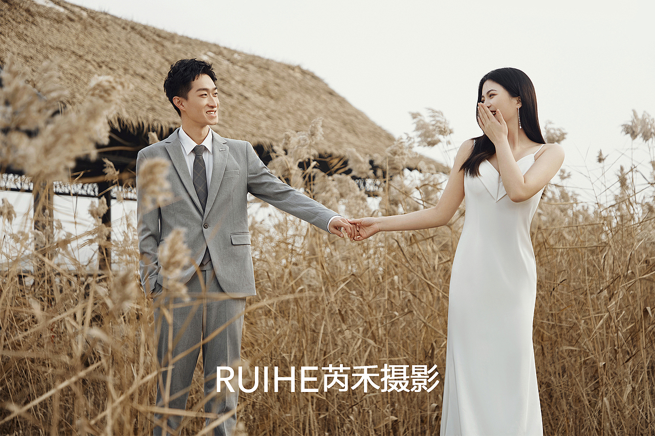 撷秋日时光,灌注一缕风间清拥,秋地一色、芦苇镶金