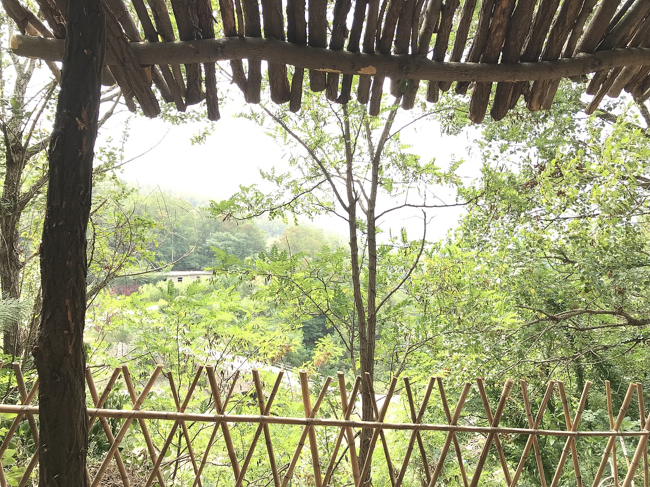 露营设计（图ZMTg3NjA3MjY4） - 景观设计 - 站酷设计师景观设计东东木原创素材 - 站酷ZCOOL