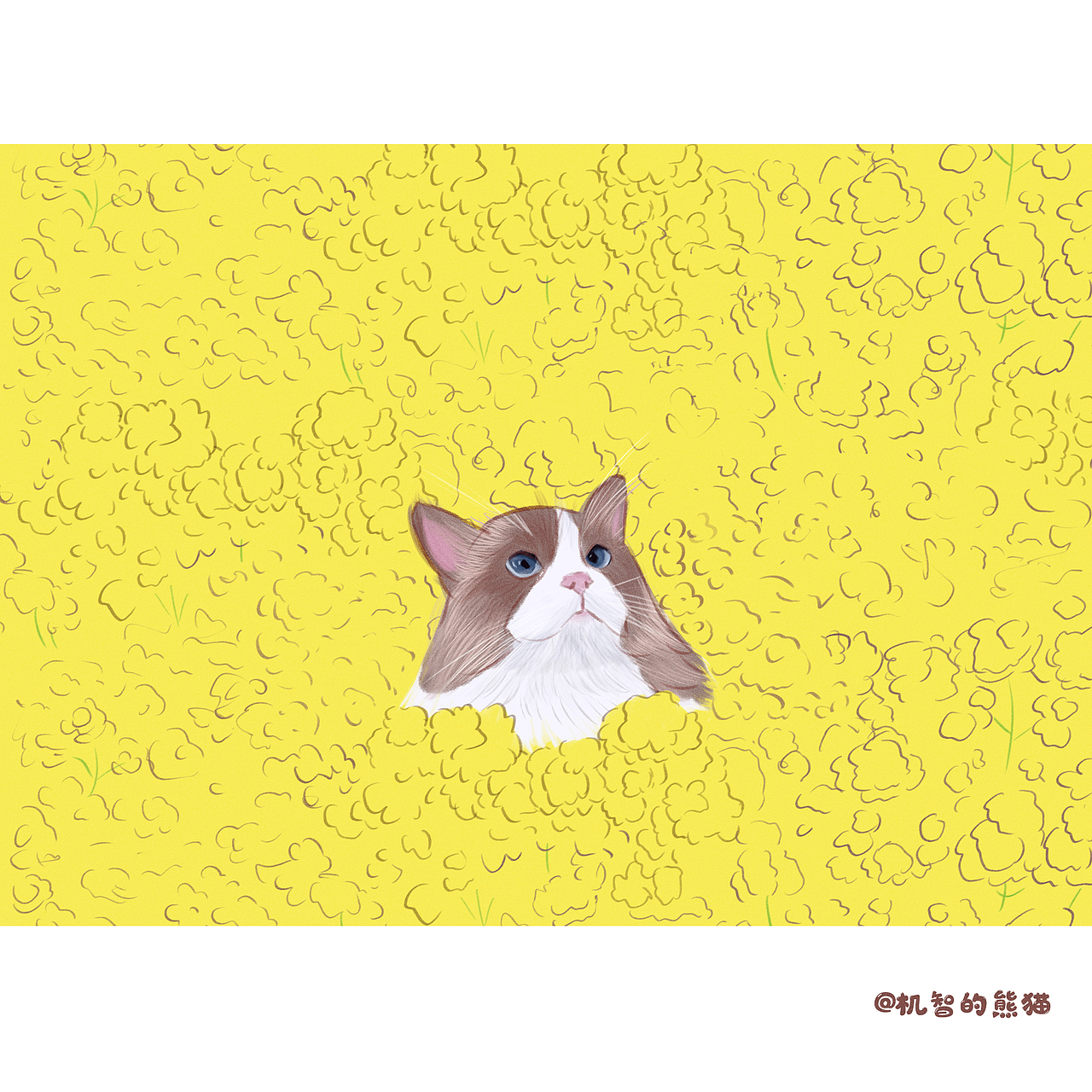 最近一点点猫咪（图ZMjk5Mjk3NjQw） - 创作习作 - 站酷设计师机智的熊猫原创素材 - 站酷ZCOOL