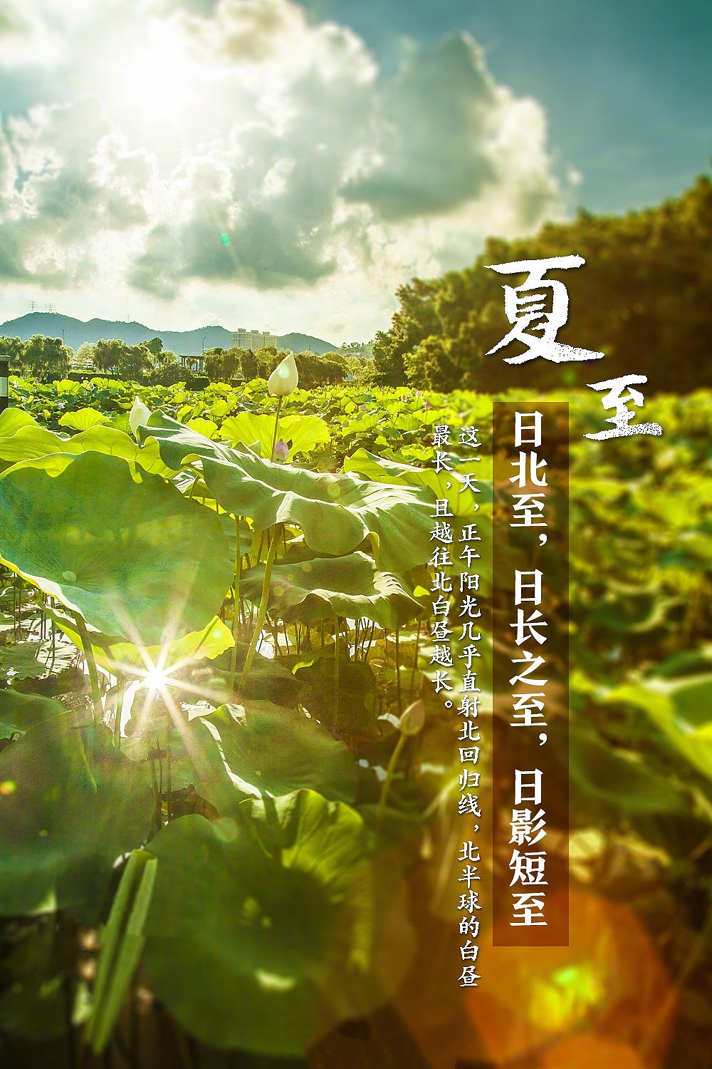 今天,夏至929292|插画|艺术插画|augenstern2021 - 临摹作品