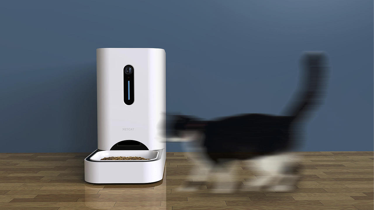 一种感动-作品集-猫粮智能喂食器