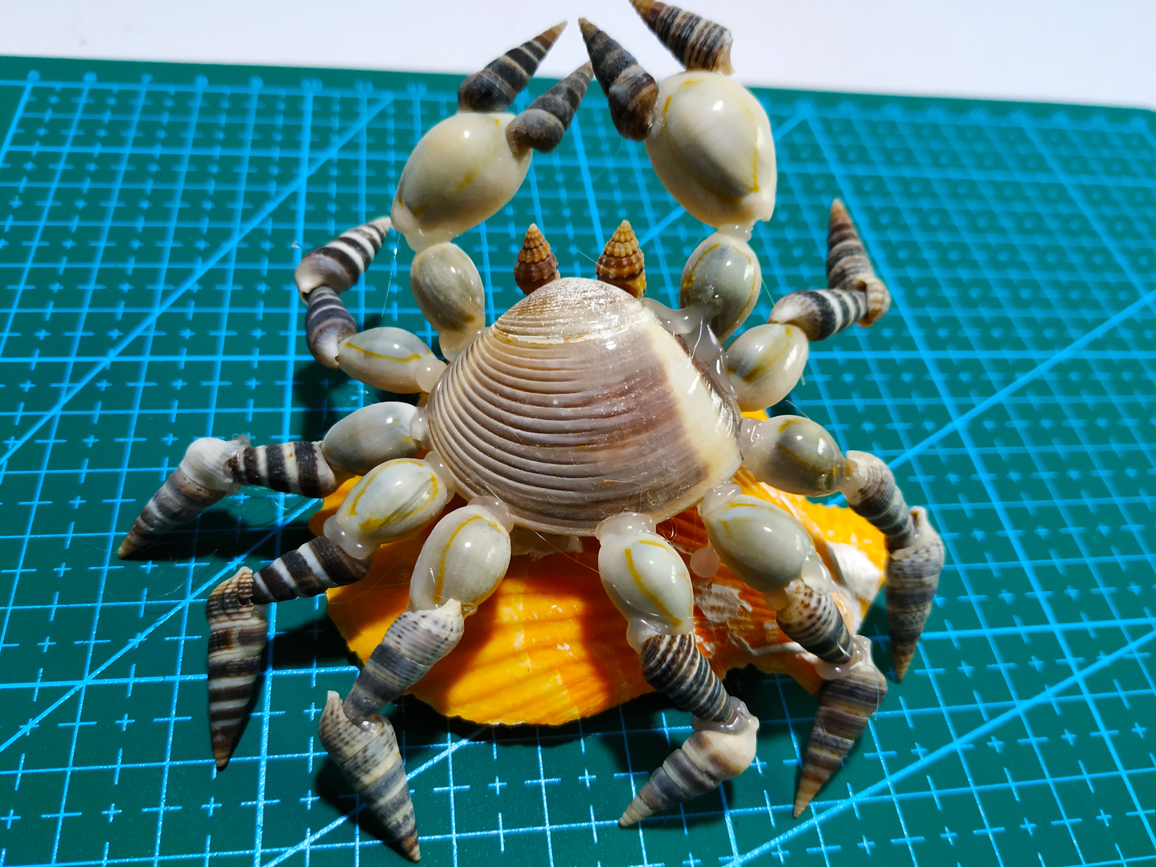 螃蟹壳手工作品图片