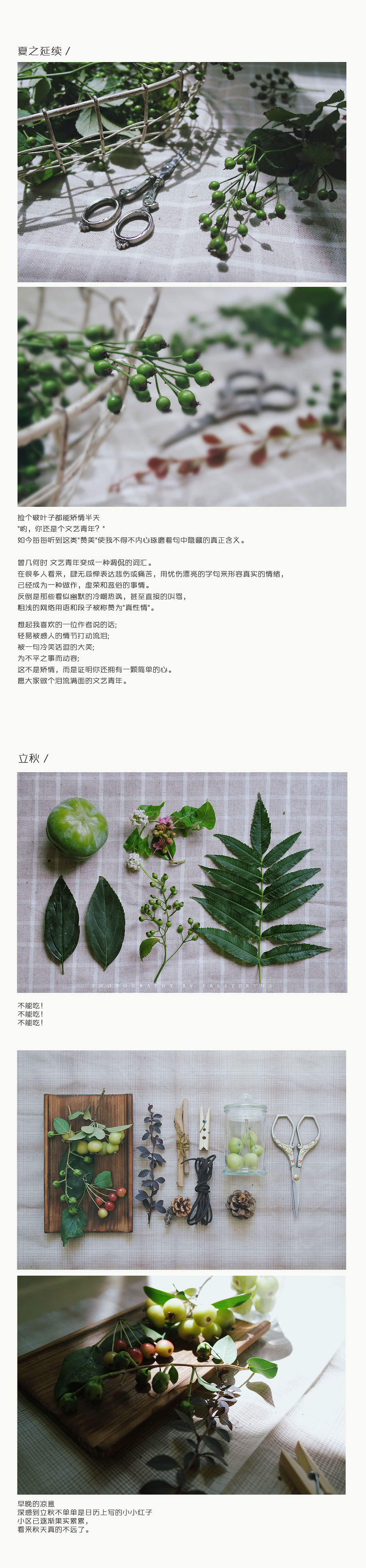 [论如何优雅地穷下去]-包装设计篇