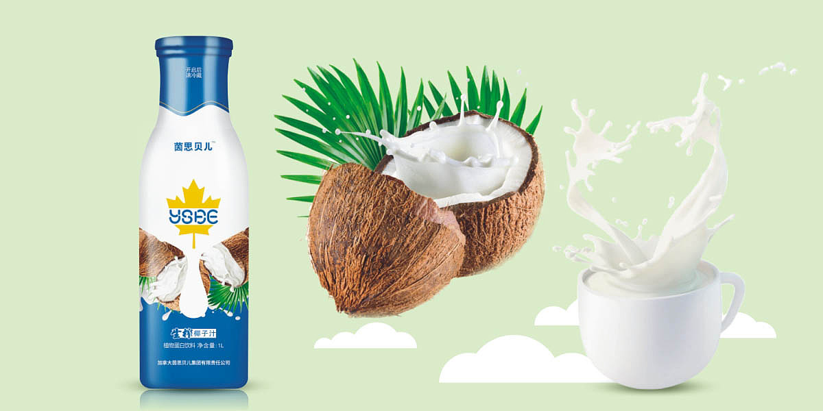 椰子汁包装设计 植物蛋白饮料包装设计 玻璃瓶装饮料包装设计 椰汁礼盒包装设计 饮料品牌包装设计