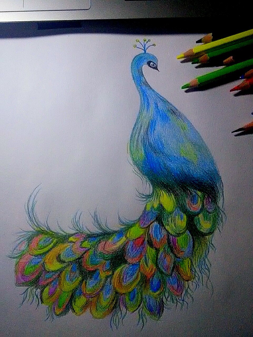 彩铅（图ZMTk0NTgwMTU2） - 绘本 - 站酷设计师大雄what原创素材 - 站酷ZCOOL