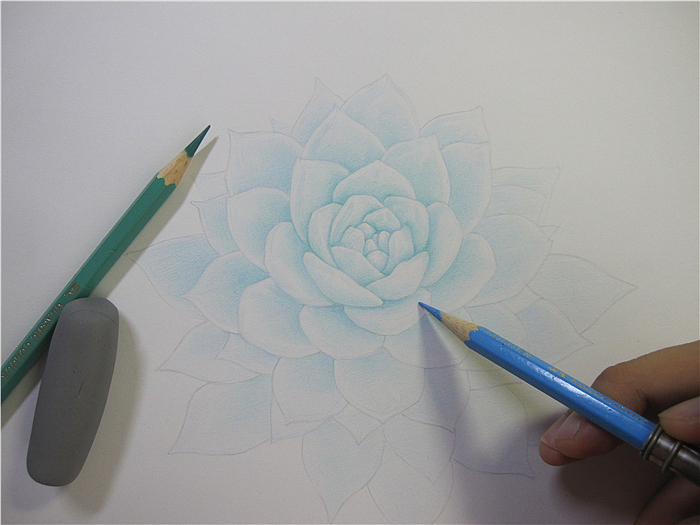 纸上彩铅--《多肉·厚叶蓝鸟》过程随录（图ZMjQyOTU0MzY=） - 绘画 - 站酷设计师超超的青葱原创素材 - 站酷ZCOOL