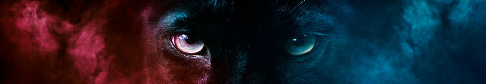 格朗視覺的個人主頁（封面預(yù)覽） - 主頁封面設(shè)置 - 站酷設(shè)計師格朗視覺原創(chuàng)素材 - 站酷ZCOOL