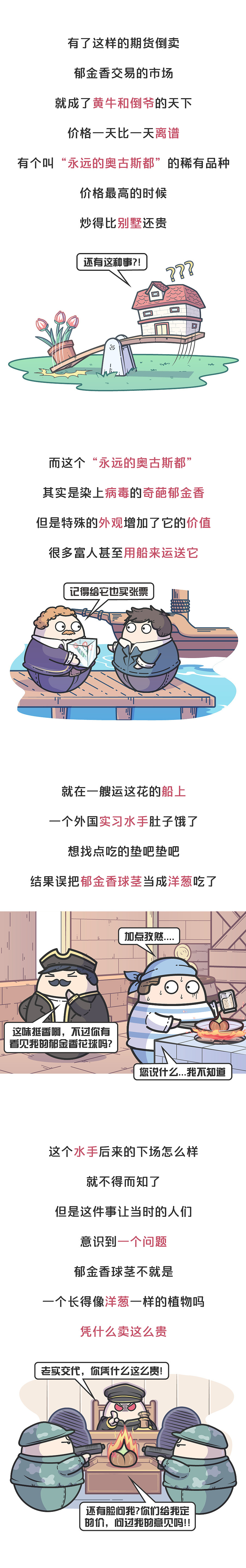 美丽的荷兰郁金香，曾让无数人从一夜暴富到倾家荡产（图ZMTgwMDU3ODQw） - 其他动漫 - 站酷设计师赛雷话金原创素材 - 站酷ZCOOL