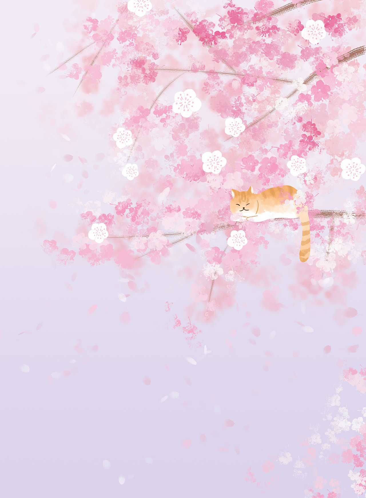 樱花猫（图ZMjQxNzM3MjM2） - 创作习作 - 站酷设计师一颗傻豆子呀原创素材 - 站酷ZCOOL