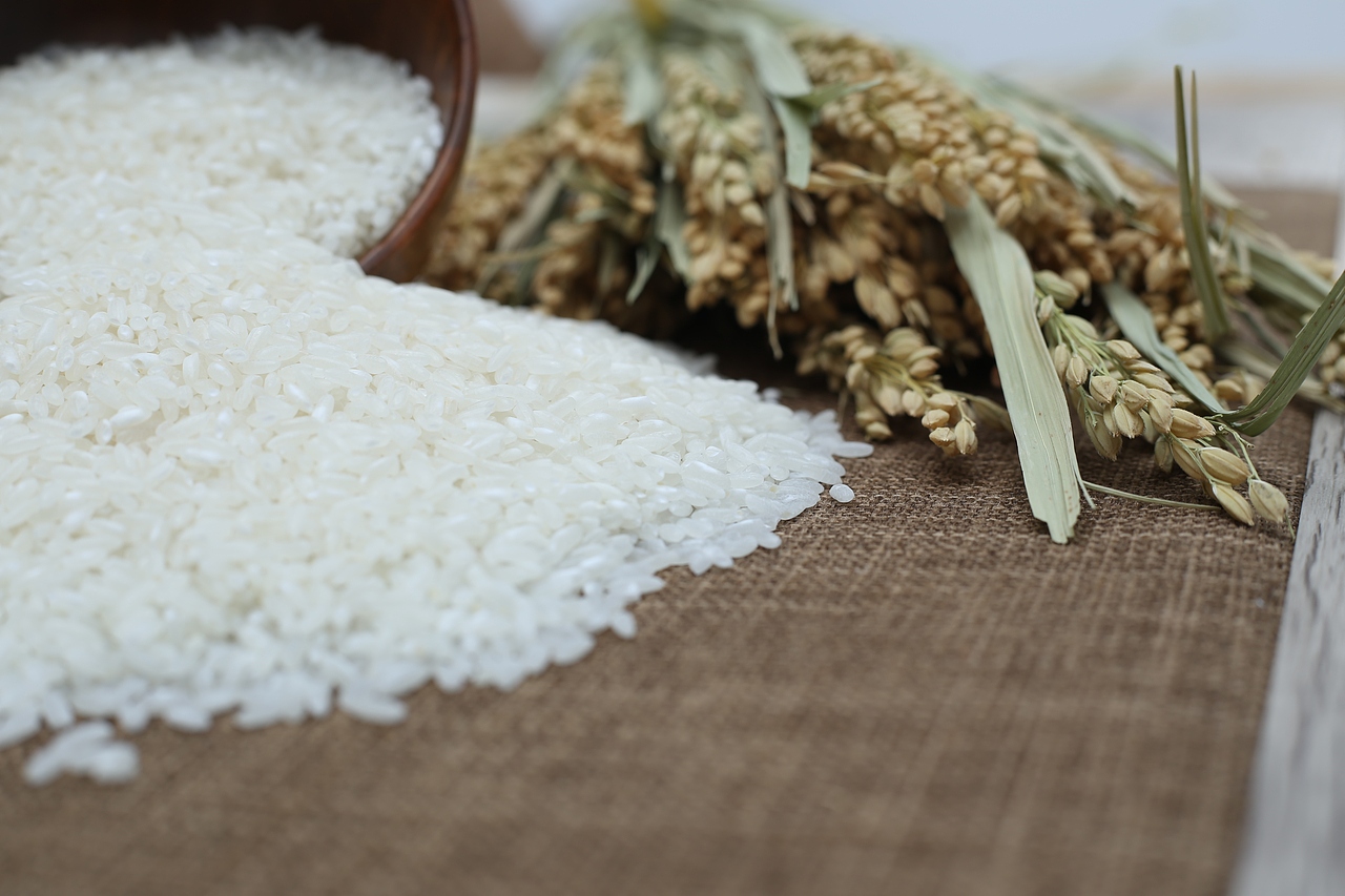 大米（图ZMzc5NzI5NTY=） - 产品摄影 - 站酷设计师周大富80原创素材 - 站酷ZCOOL