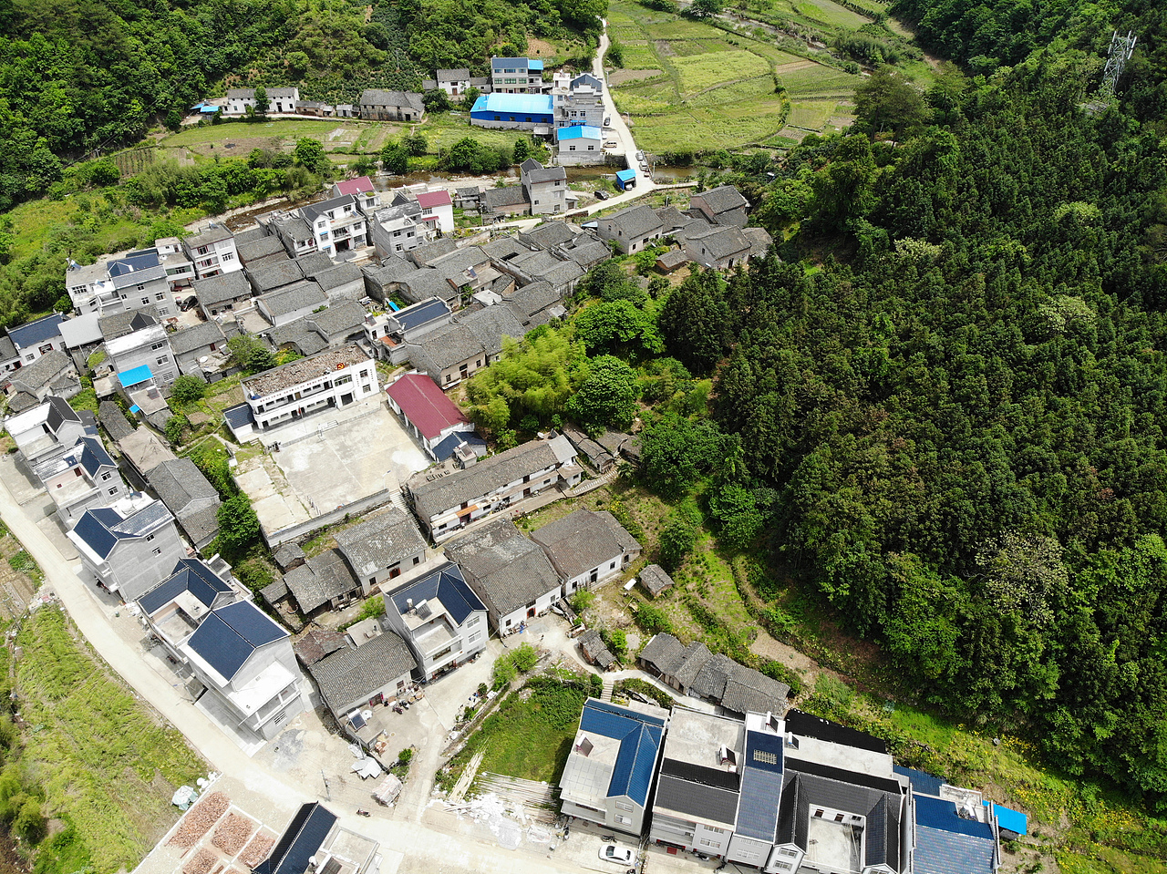 谢家村!祁门红茶示范村(核心产区之一)