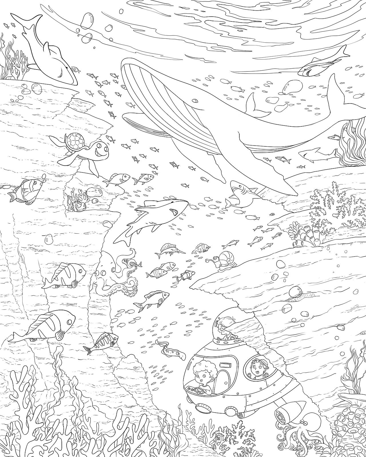 找不同（已商用）