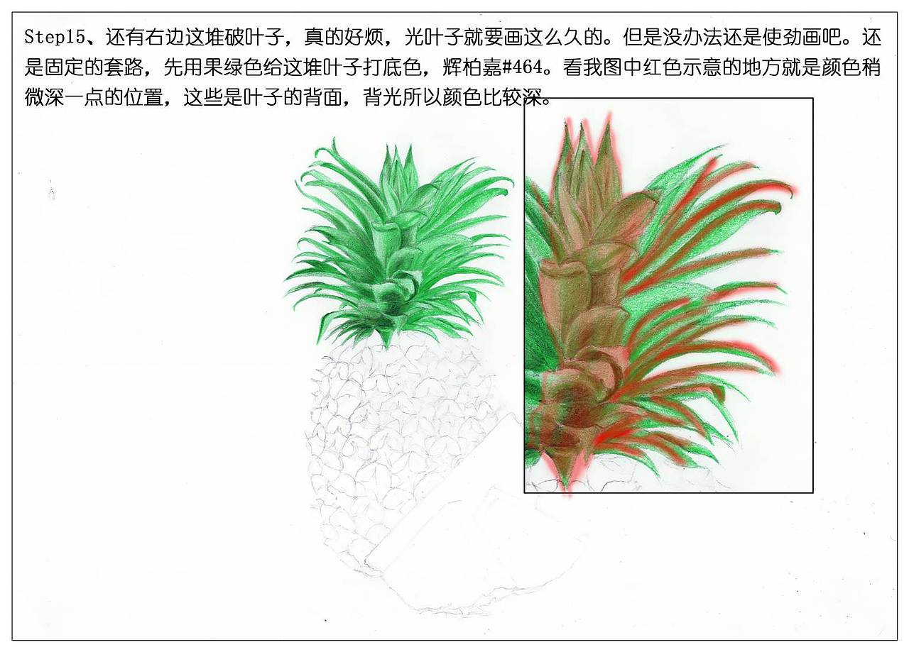 【驴大萌彩铅】手绘24节气水果图鉴 谷雨菠萝