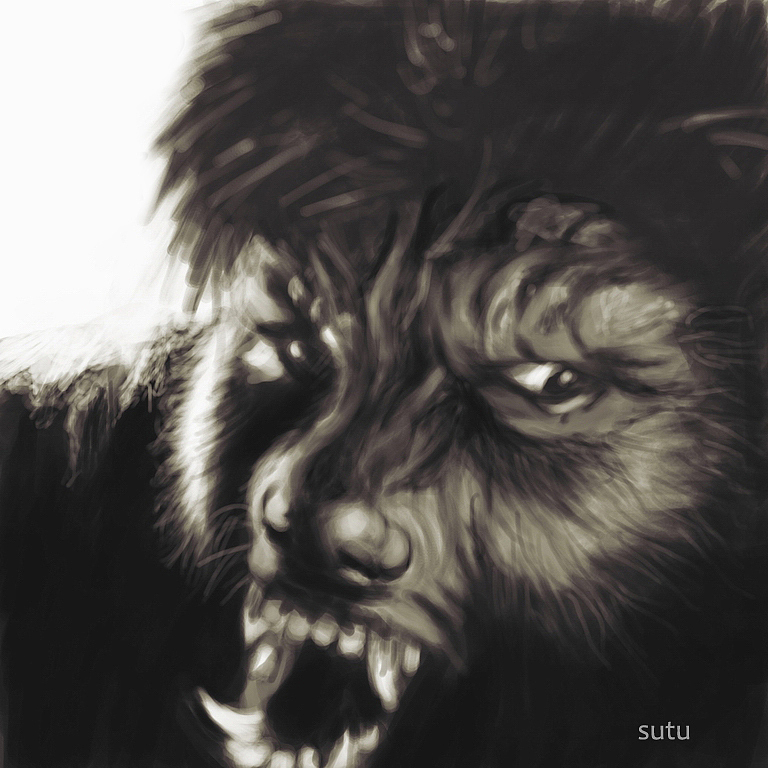 个人练习作品杂集