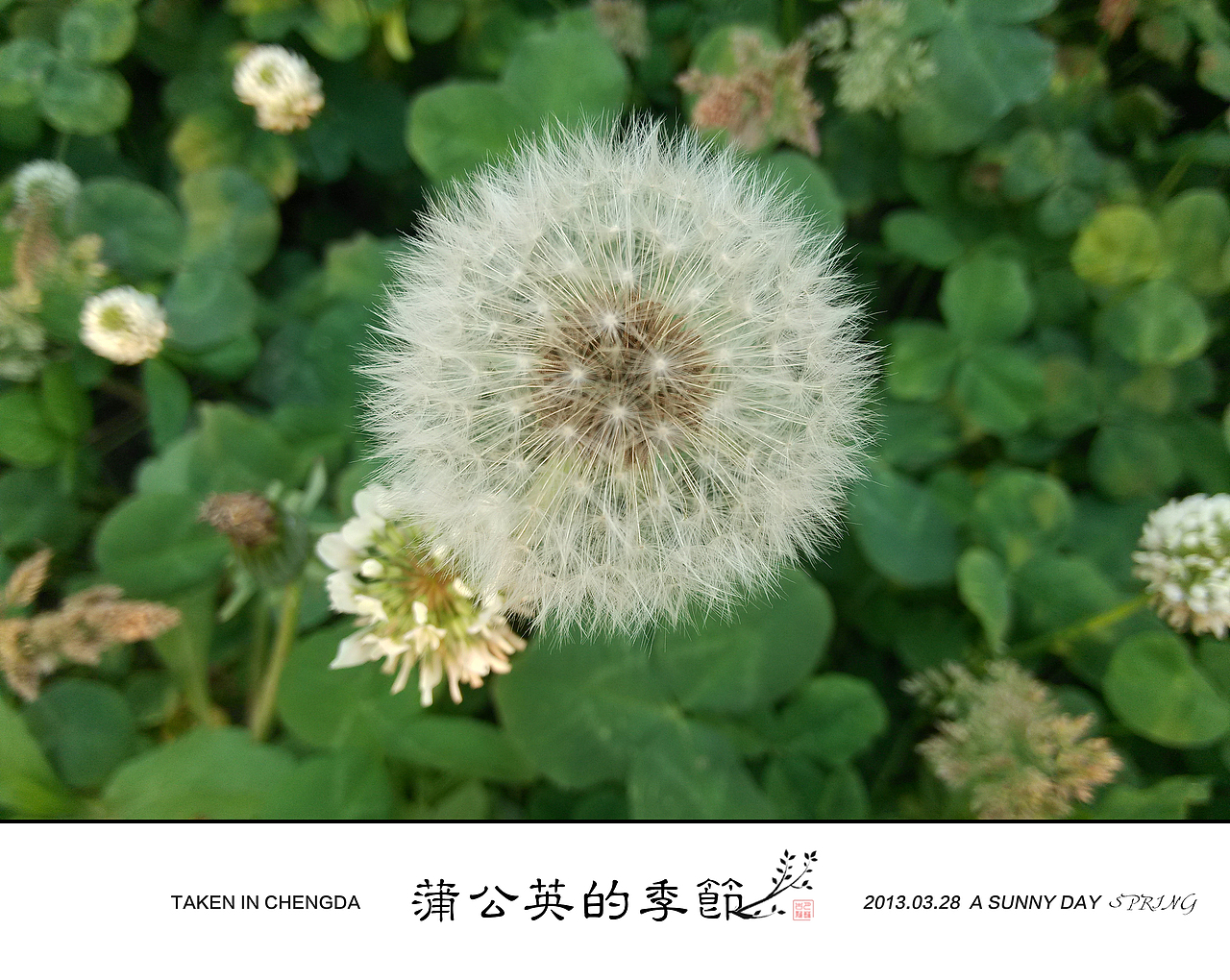 隨手拍（圖ZNTMzMzU0MjA=） - 其他攝影 - 站酷設(shè)計(jì)師淺藍(lán)色的喜歡原創(chuàng)素材 - 站酷ZCOOL