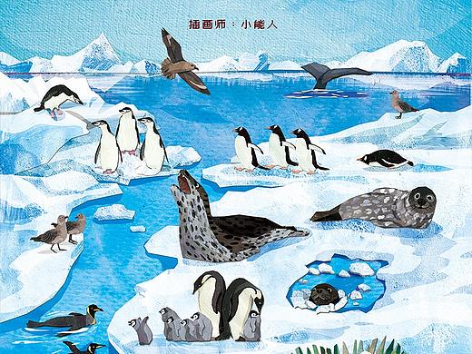儿童插画 儿童插图 科普绘本----套书（2）
