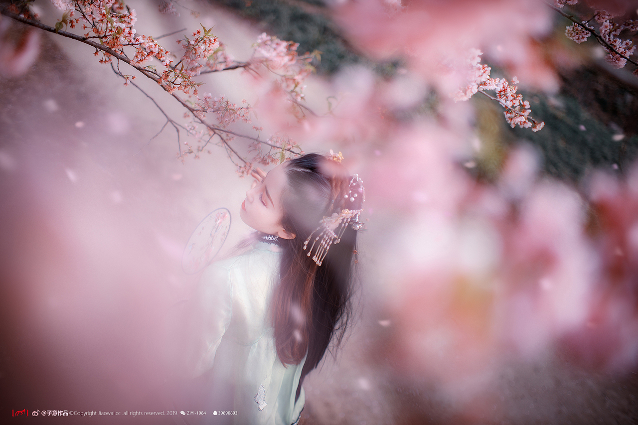 《樱花落，纷如雪》（图ZMTUyMzcyOTI4） - 人像摄影 - 站酷设计师摄影师子意原创素材 - 站酷ZCOOL