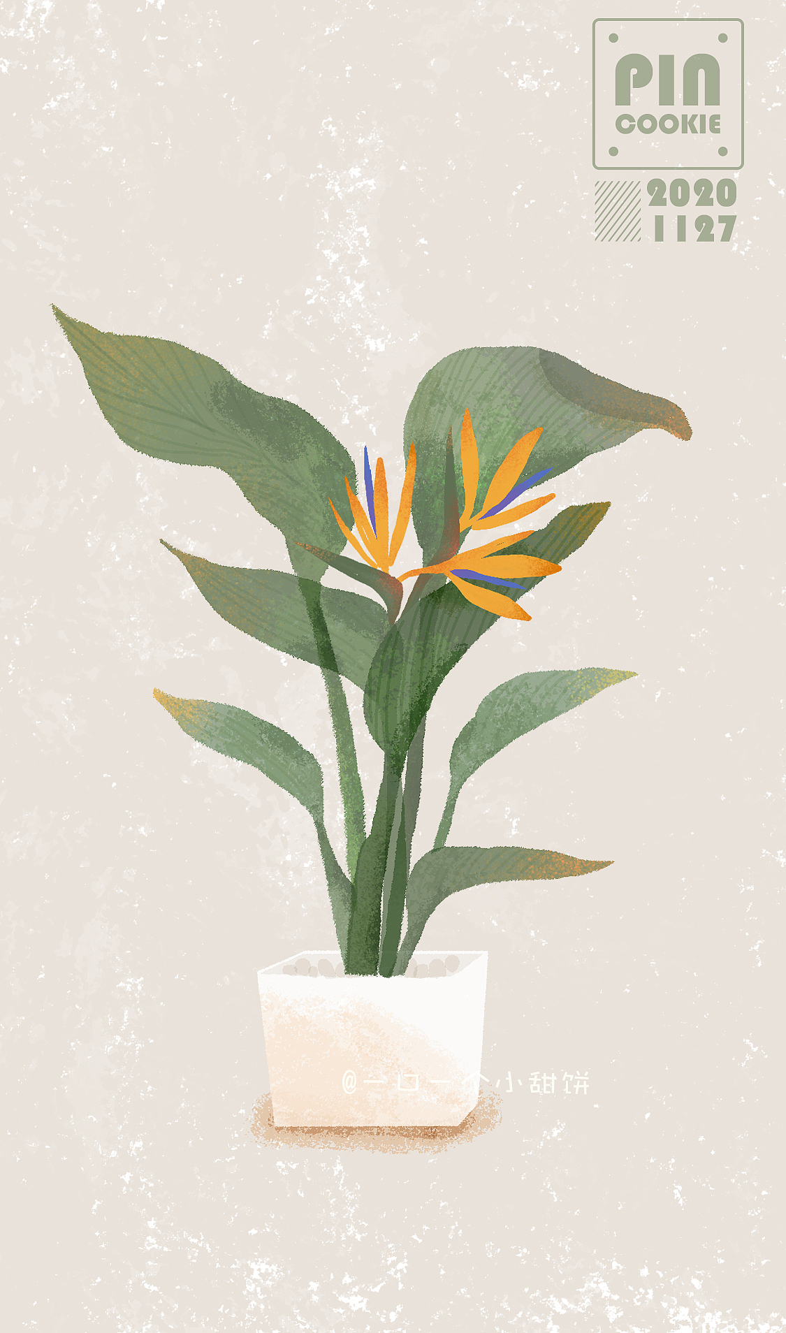 插畫植物練習(xí)（圖ZMjMzNjg0NDI0） - 創(chuàng)作習(xí)作 - 站酷設(shè)計(jì)師一口一個(gè)小甜餅原創(chuàng)素材 - 站酷ZCOOL