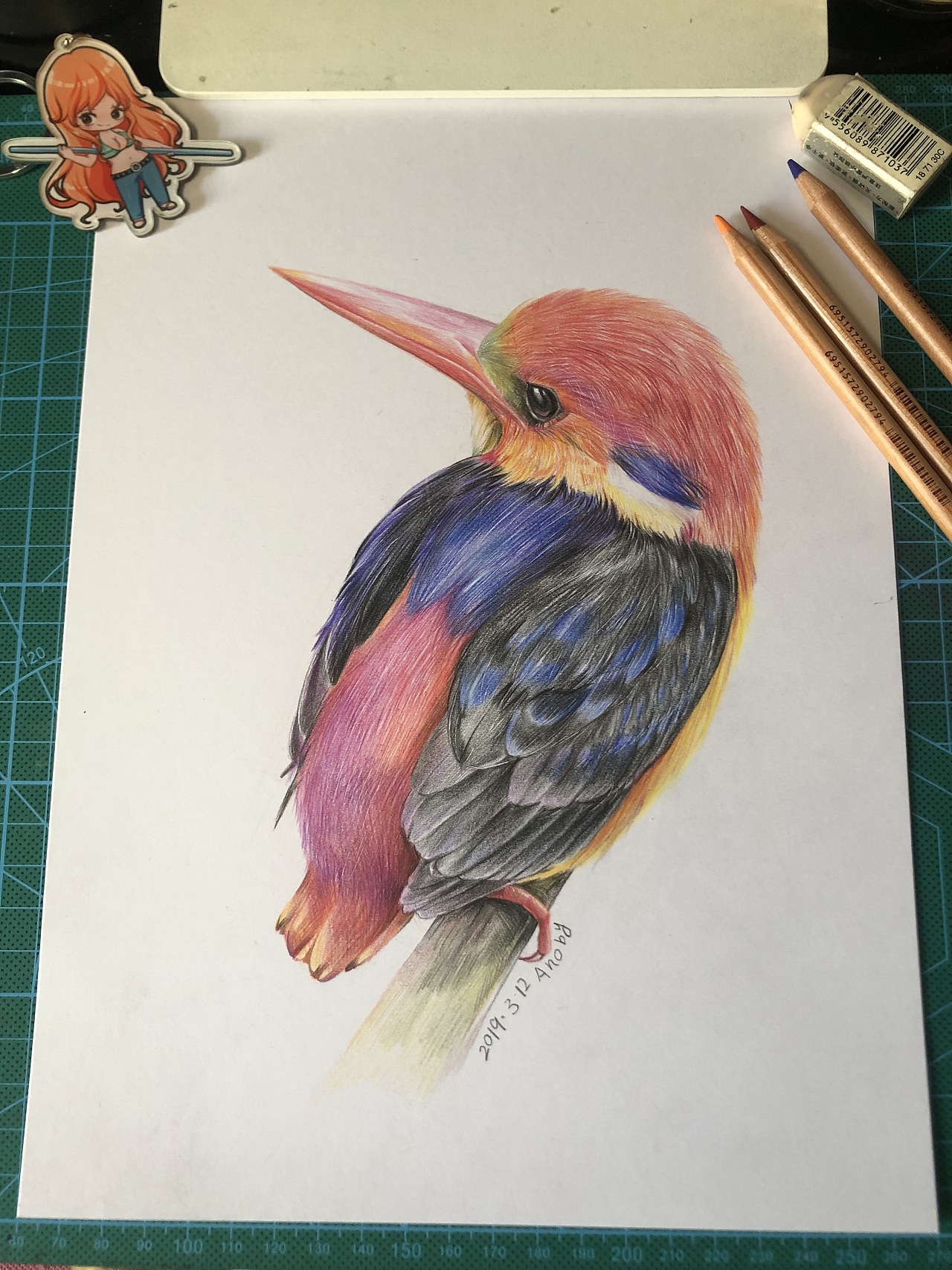 彩色铅笔–鹦鹉练习|纯艺术|彩铅|無声 - 原创作品 - 站酷 (ZCOOL)