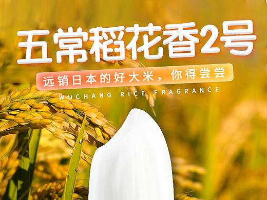 五常稻花香大米详情页
