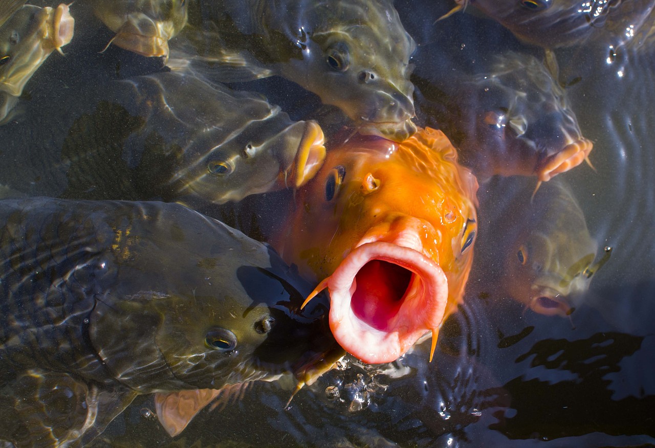 摄影之《逍遥游》