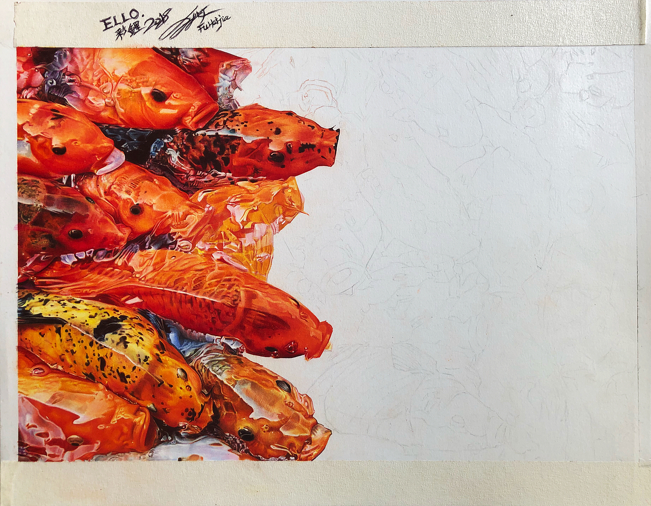 彩铅作品《彩鲤》（图ZMTMwMzA3NTg4） - 创作习作 - 站酷设计师傅海嘉原创素材 - 站酷ZCOOL