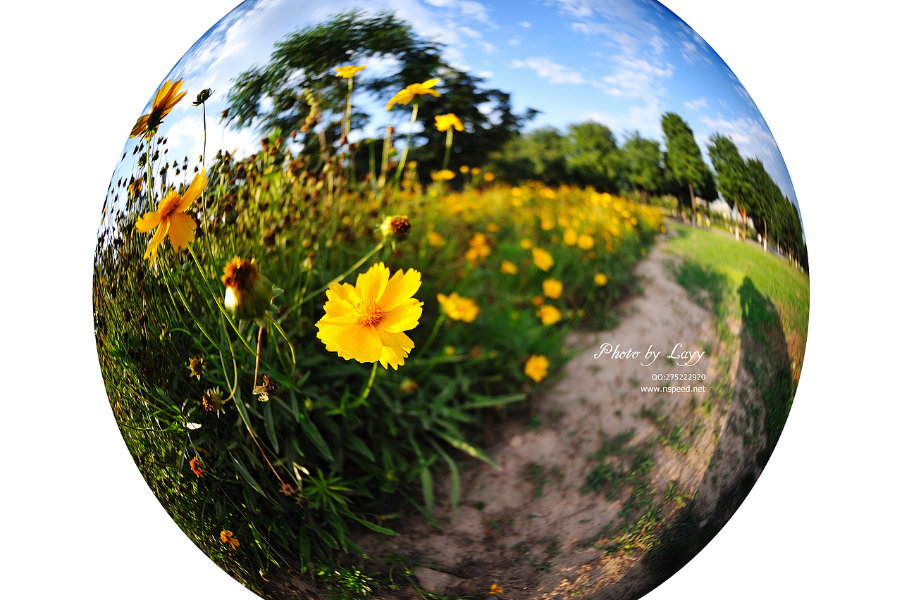 《等,下一个天亮》# layy的时光机 #