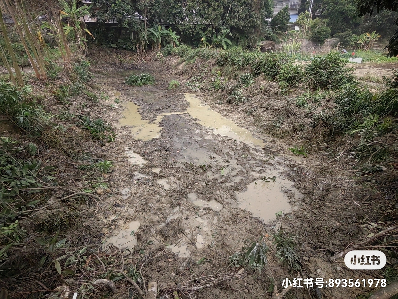 生活需要苦中作乐（图ZMjg1NTY0MTYw） - 风光摄影 - 站酷设计师治愈的花园原创素材 - 站酷ZCOOL