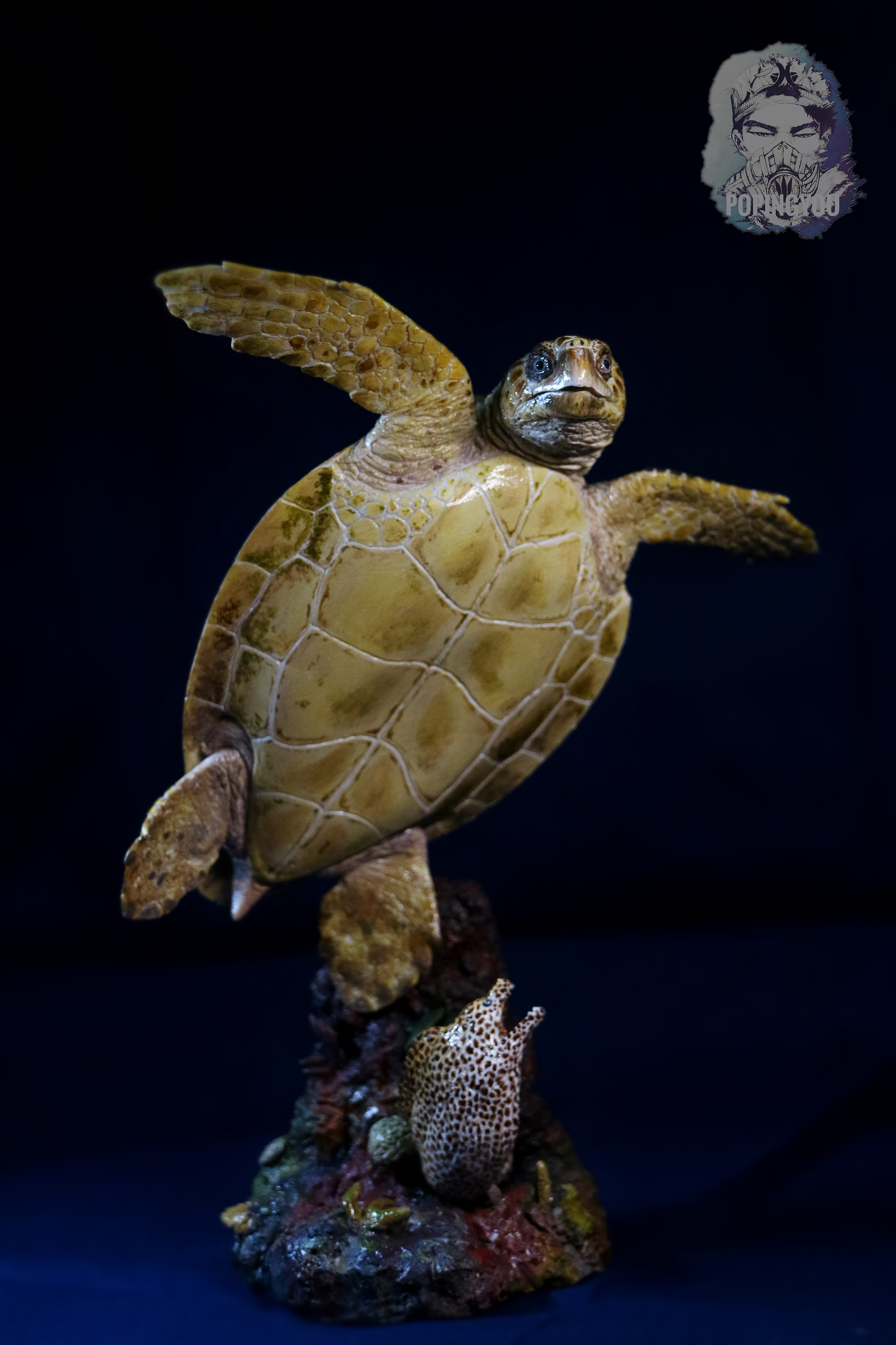 赤蠵龟涂装展示