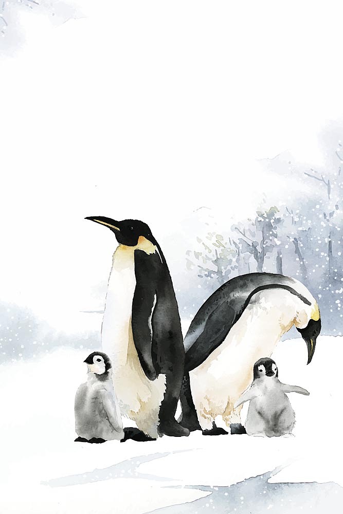 2021小清新（图ZMjkwNzcyNTEy） - 商业插画 - 站酷设计师窗帘图库原创素材 - 站酷ZCOOL