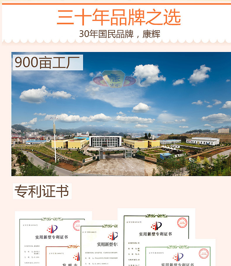 梅子干果详情页