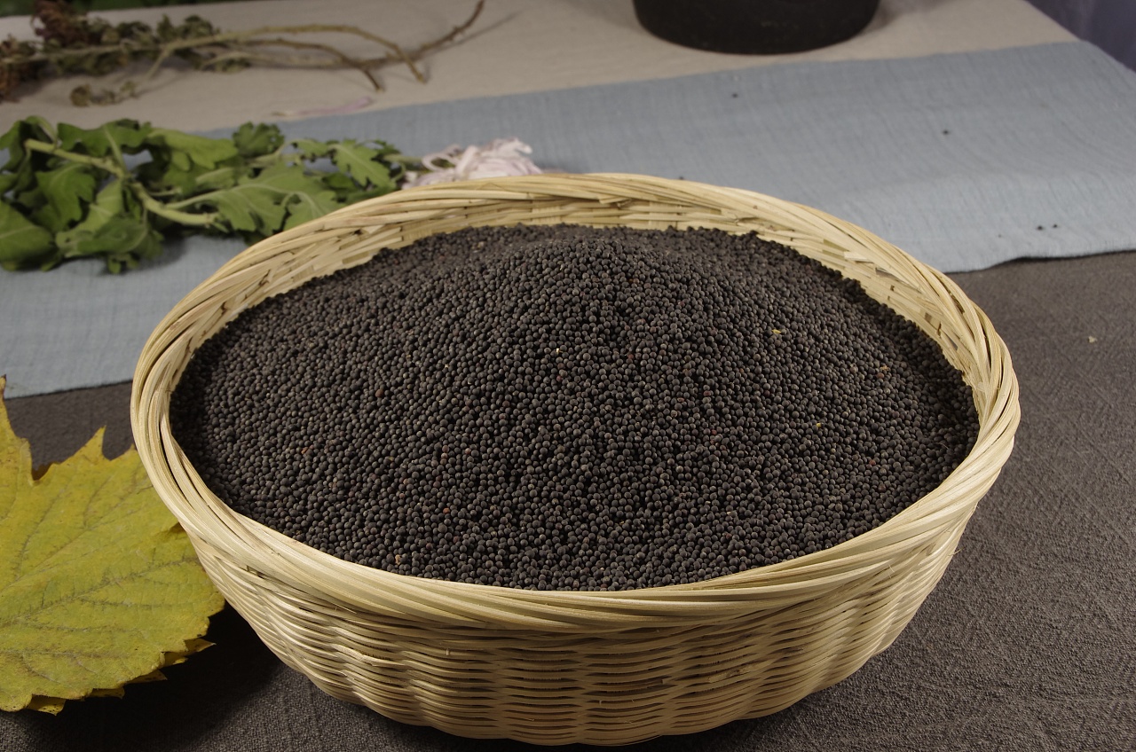黑油菜籽
