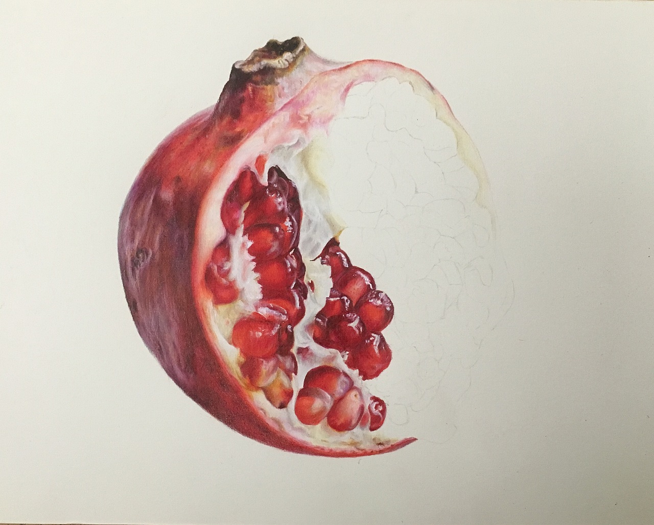 彩铅画【石榴】（图ZMTkxNjYzOTky） - 绘画 - 站酷设计师龚方俊手绘原创素材 - 站酷ZCOOL