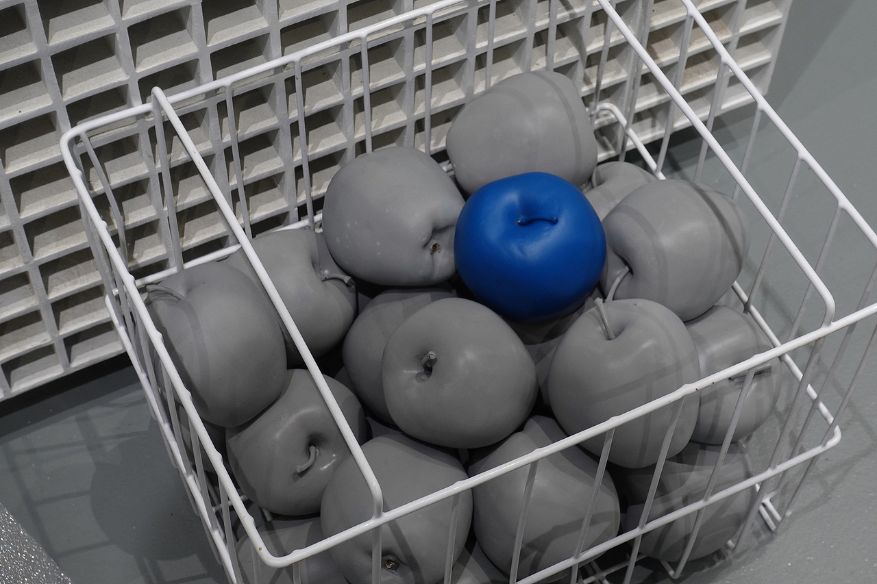 什么都拍,什么都不奇怪