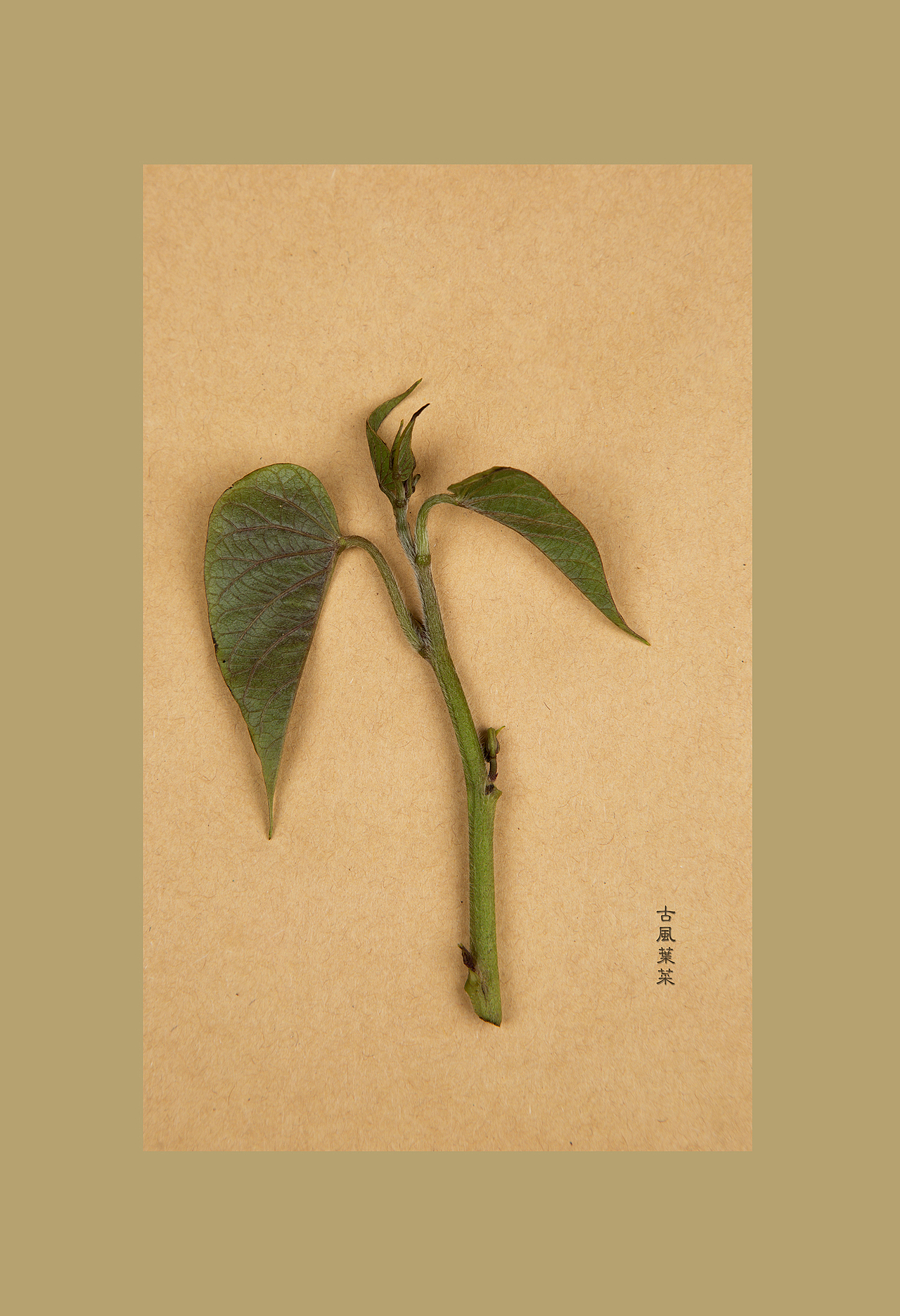 古風(fēng)食意（圖ZNjE4MDI4MjA=） - 產(chǎn)品攝影 - 站酷設(shè)計(jì)師蔣小那原創(chuàng)素材 - 站酷ZCOOL