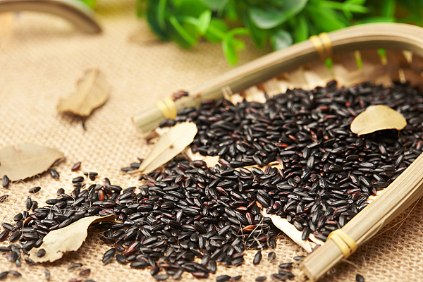 黑色养生食疗 黑芝麻 黑豆 黑米（图ZNDEyOTMwODQ=） - 产品摄影 - 站酷设计师guancaixia尚心原创素材 - 站酷ZCOOL