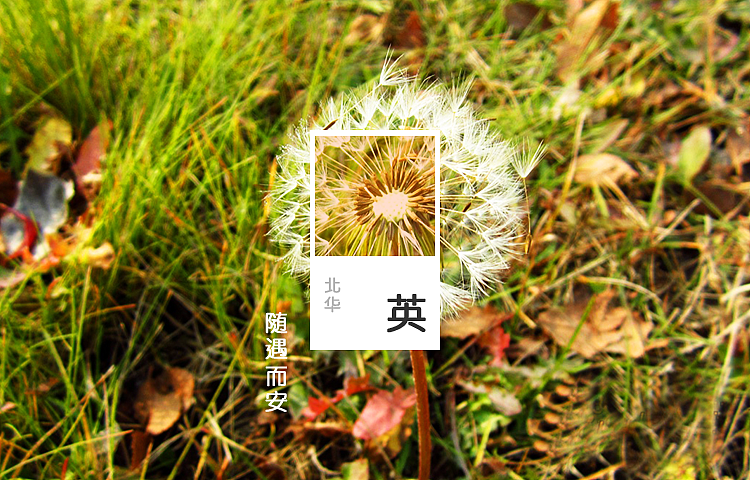 回忆·朝阳·风雪·花杨，品味休逸无穷（图ZODk4OTc5NDg=） - 其他摄影 - 站酷设计师afu1988原创素材 - 站酷ZCOOL