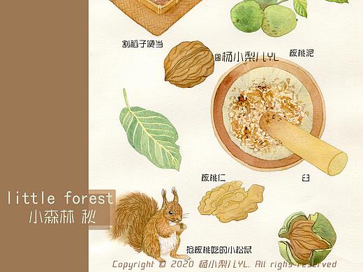 致我最爱的电影《小森林.秋篇》~