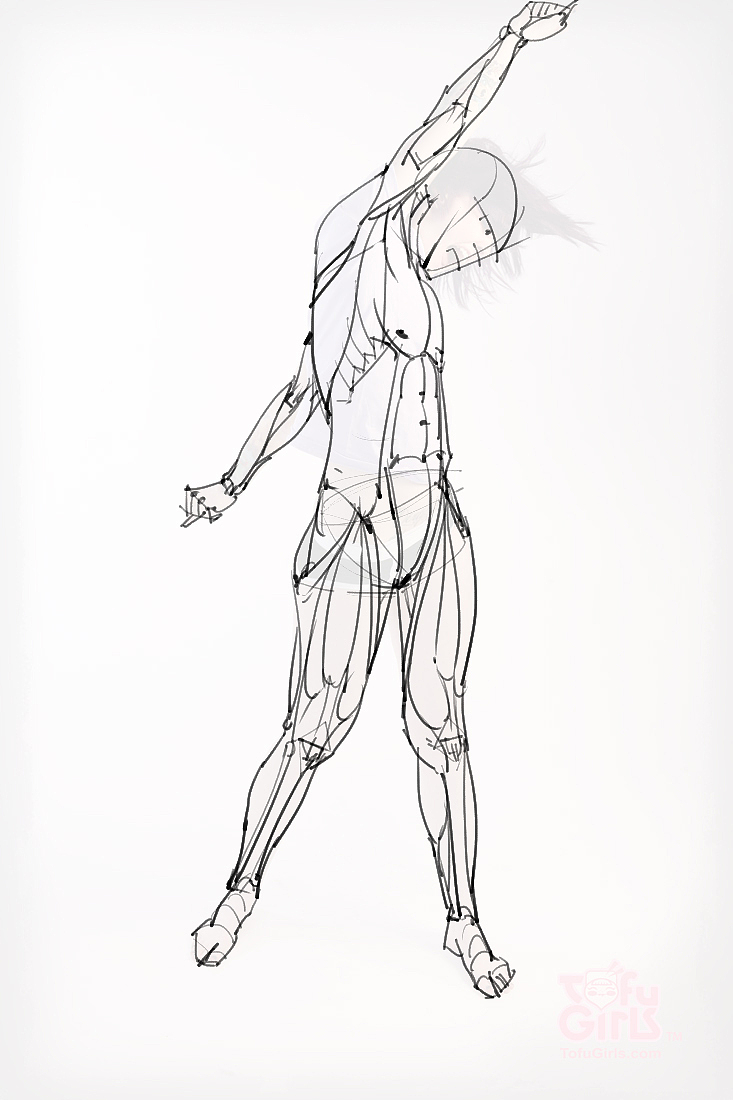 「素材」分享一波绘画专用人体解剖素材 part 09