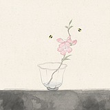 荼臾的头像